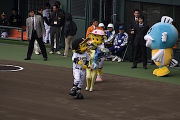 2008030811.jpg
