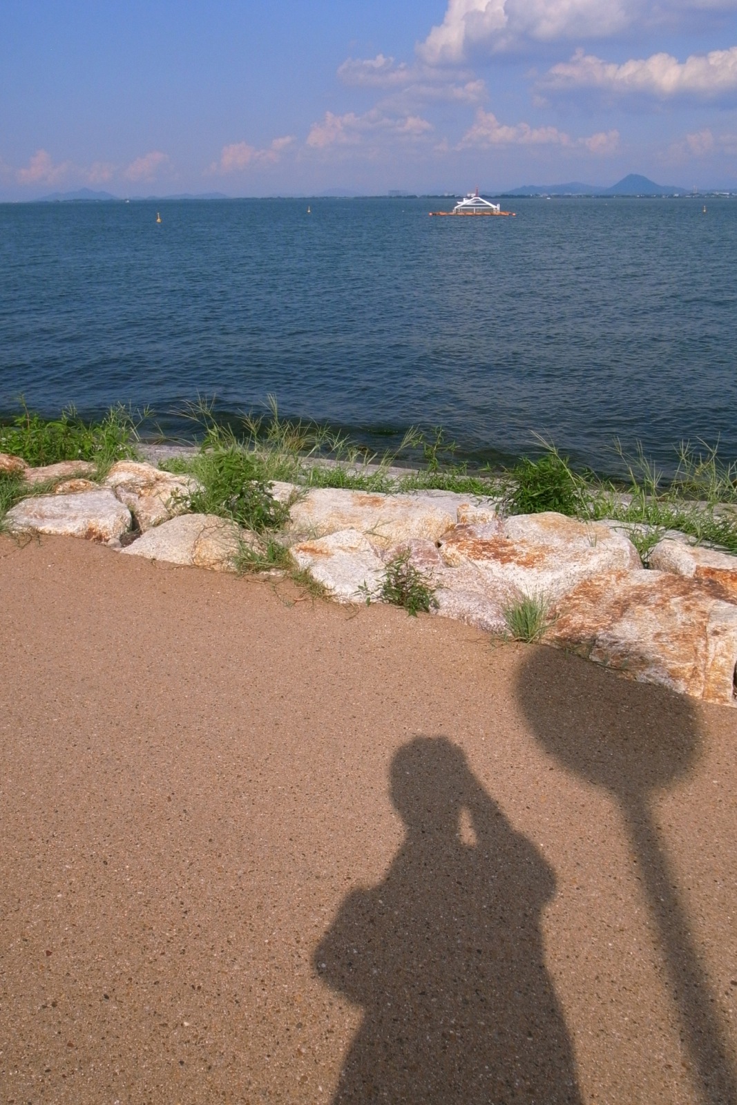 琵琶湖が私を見てる